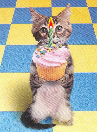 Ucing5.gif image by Pauls90